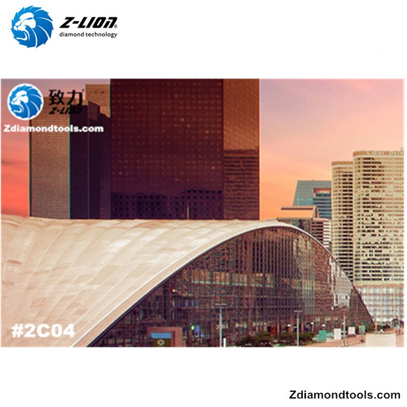 2019 معرض الصين العاشر لتلميع الأسطح # Z-LION DIAMOND TOOLS